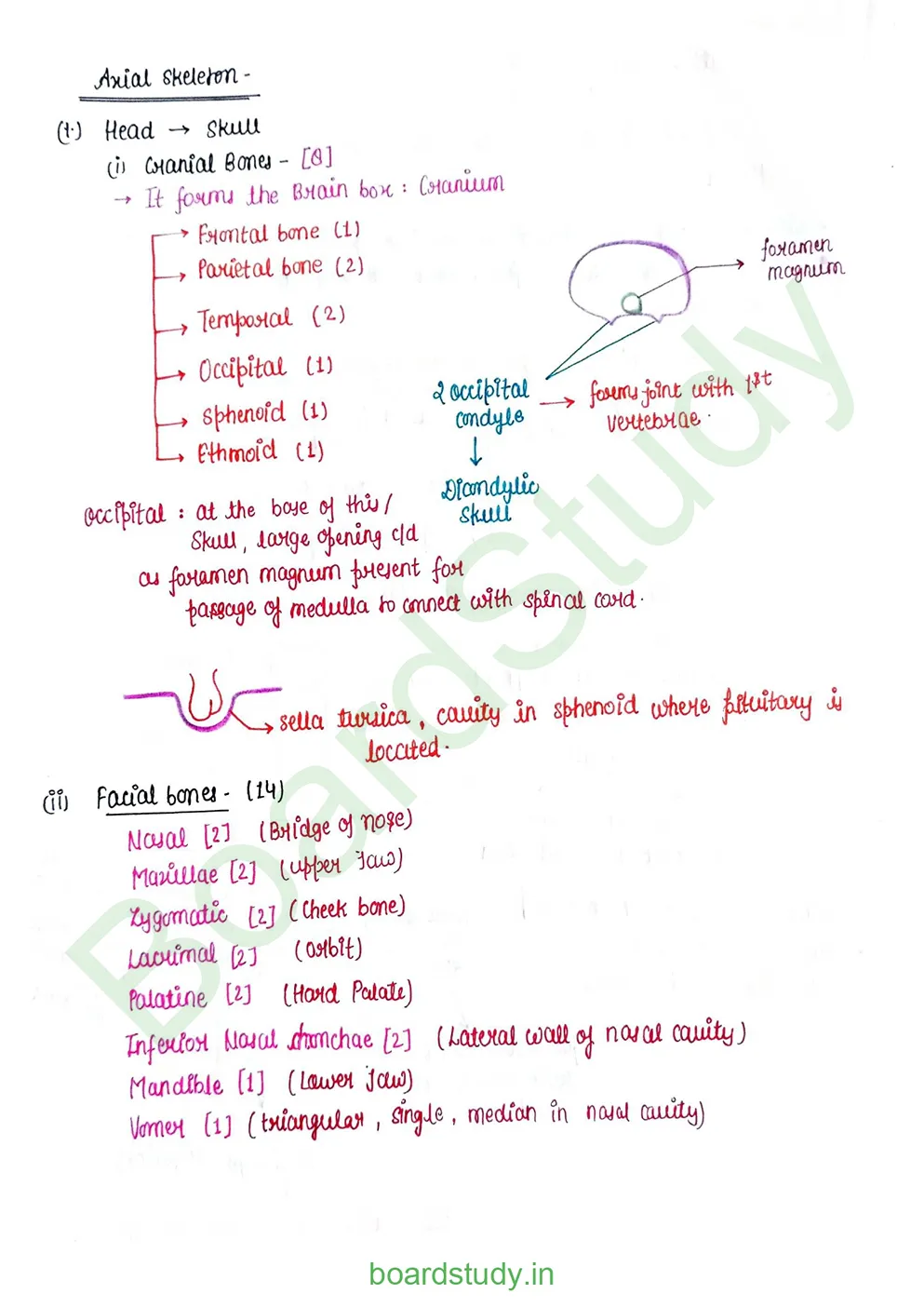 Locomotion & Movement_page-0015