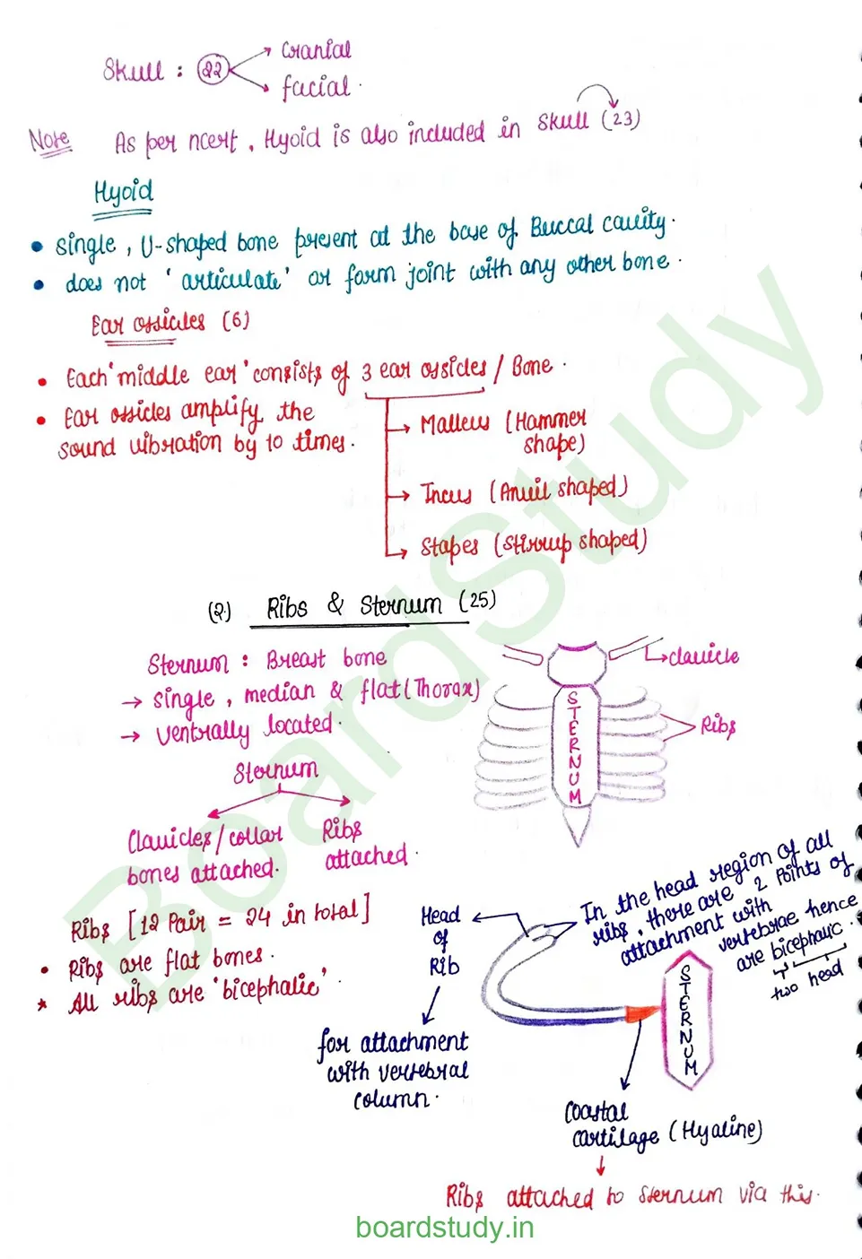 Locomotion & Movement_page-0016