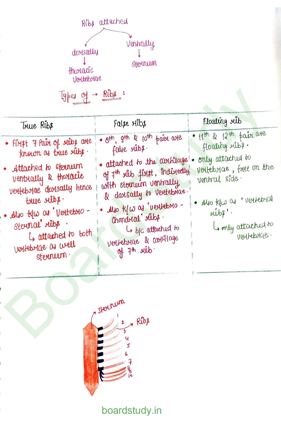 Locomotion & Movement_page-0017