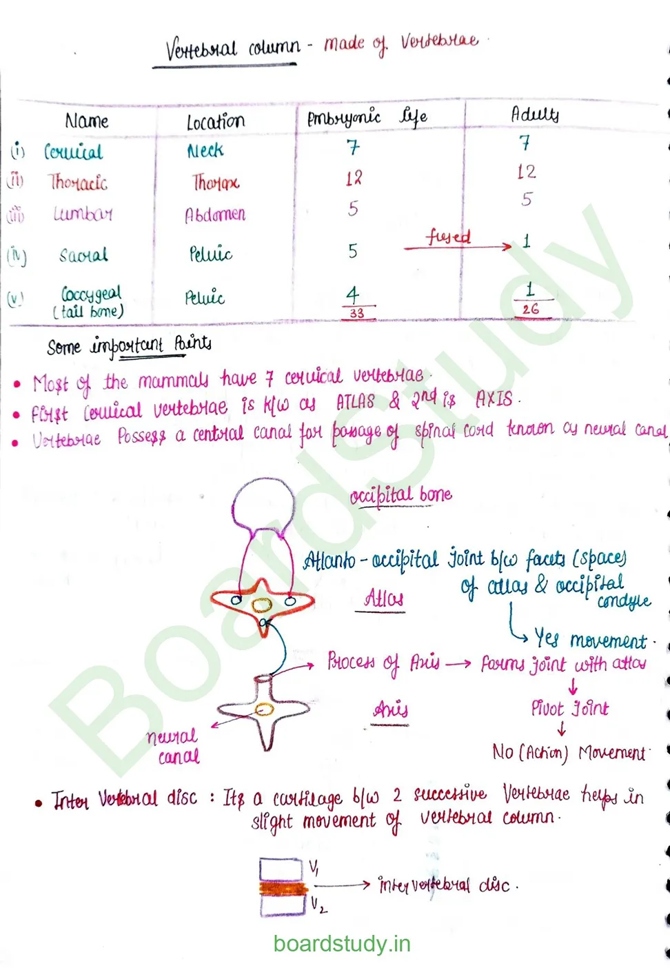 Locomotion & Movement_page-0018