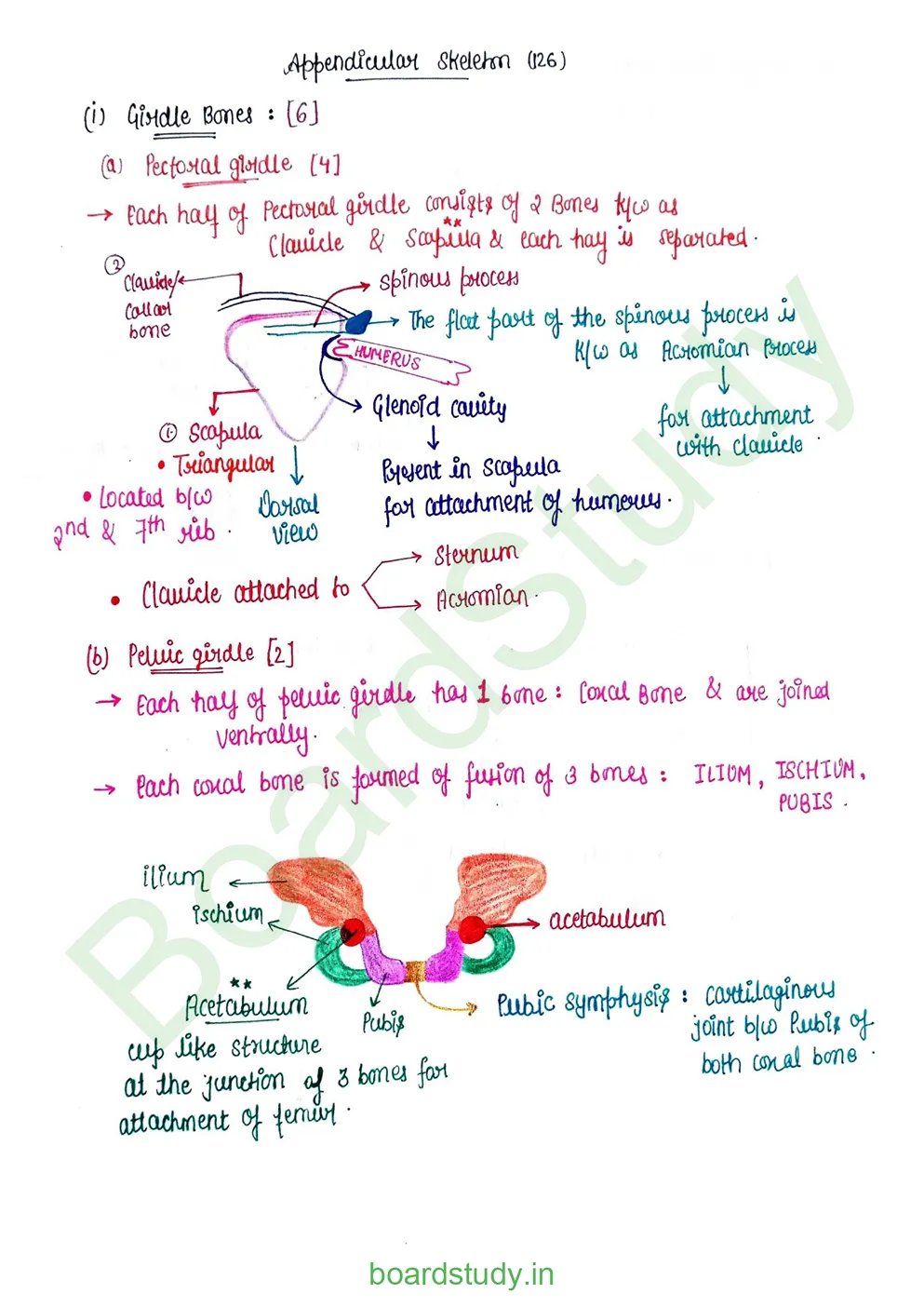 Locomotion & Movement_page-0019