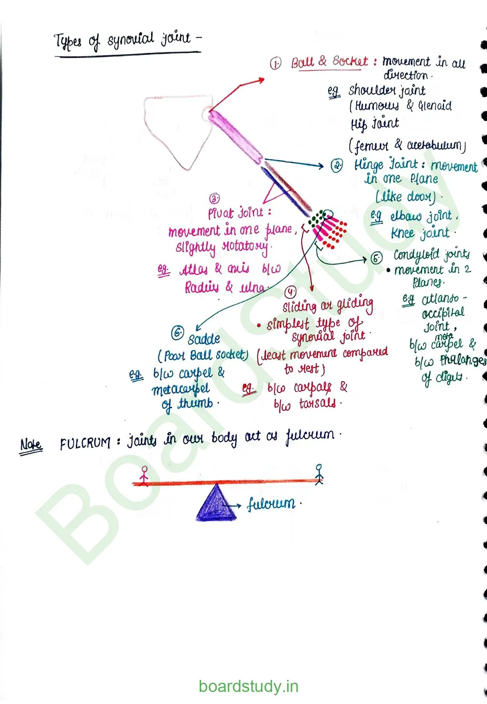 Locomotion & Movement_page-0022