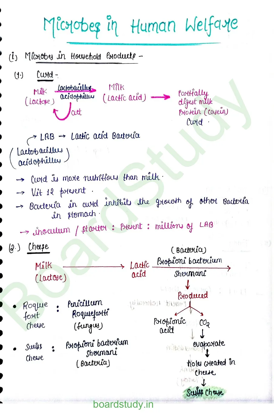Microbe in Human Welfare_page-0001