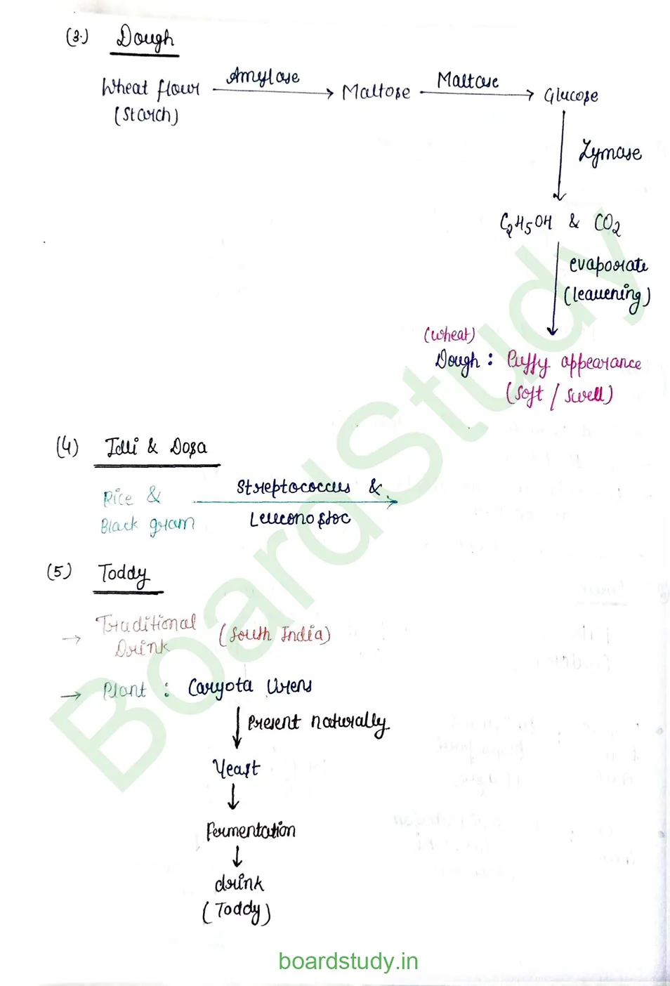 Microbe in Human Welfare_page-0002