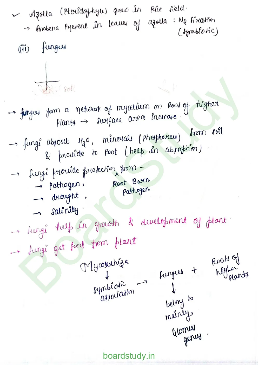 Microbe in Human Welfare_page-0019