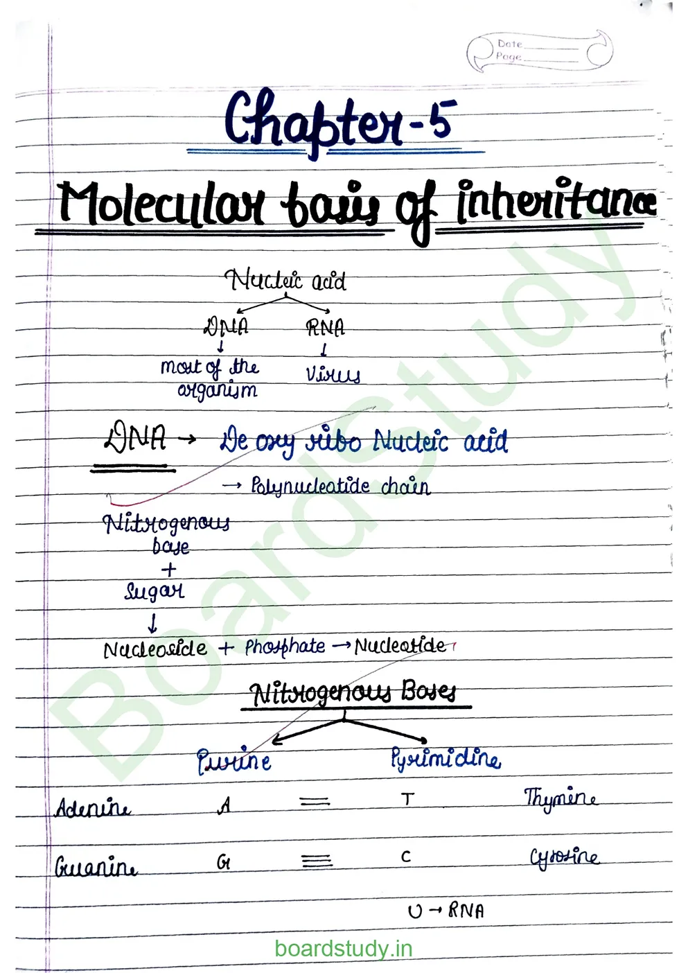Molecular basis pf inheritance_page-0001