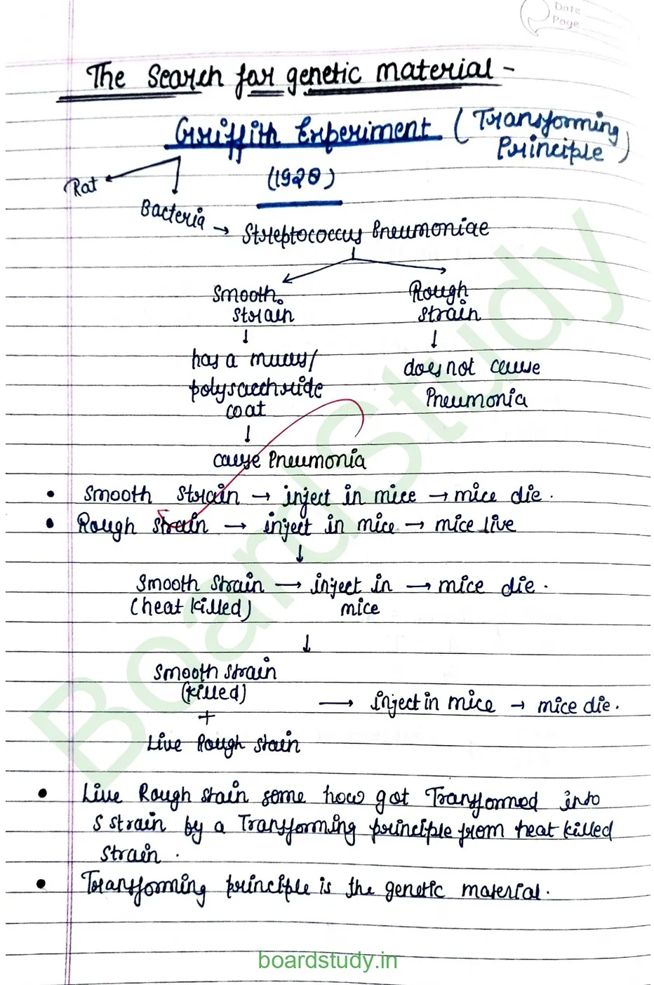 Molecular basis pf inheritance_page-0003