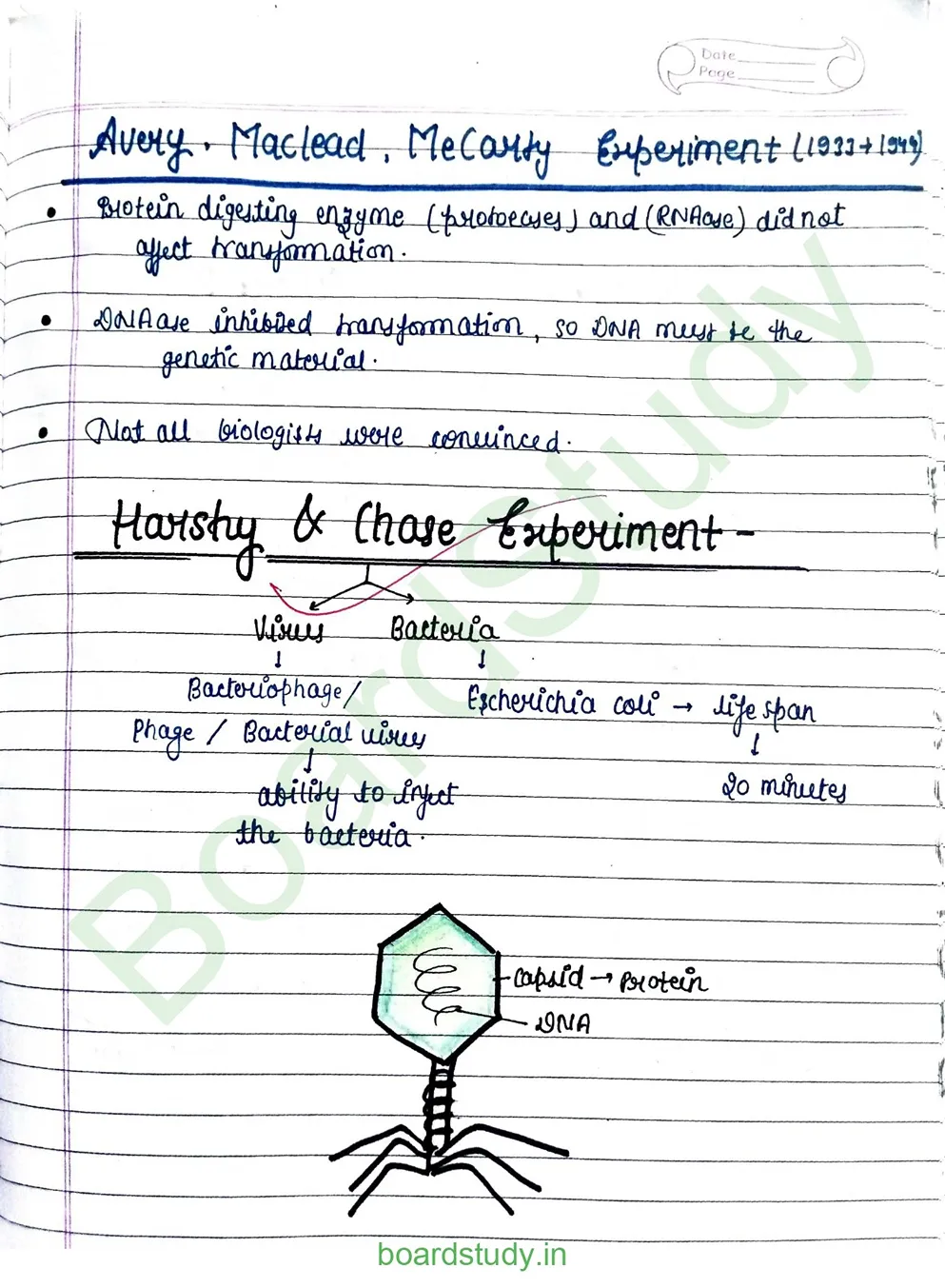 Molecular basis pf inheritance_page-0004