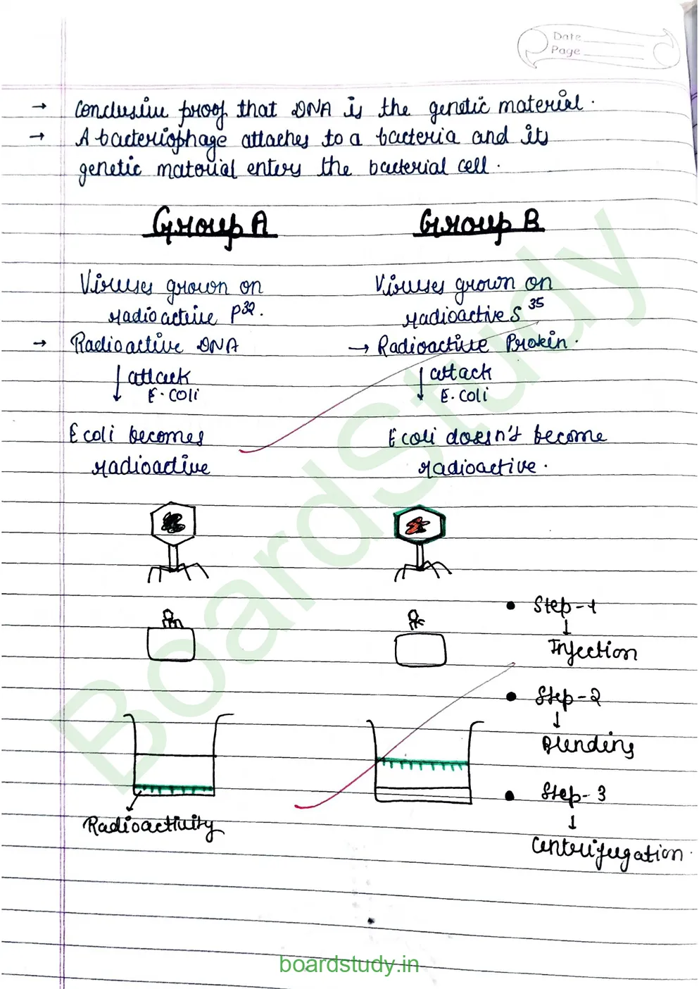 Molecular basis pf inheritance_page-0005