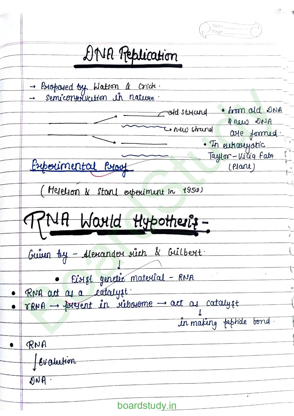 Molecular basis pf inheritance_page-0008