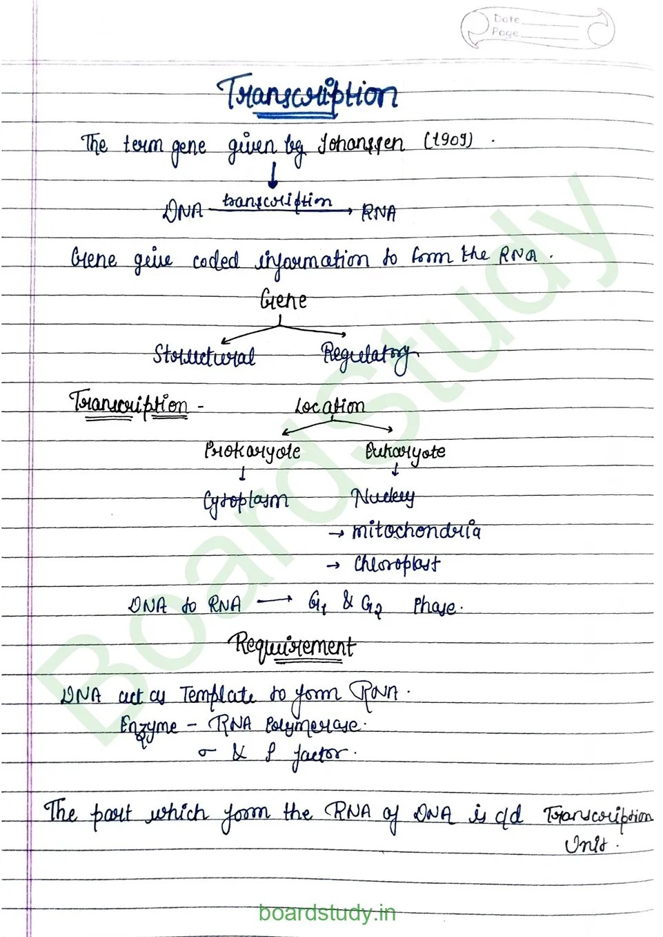 Molecular basis pf inheritance_page-0011