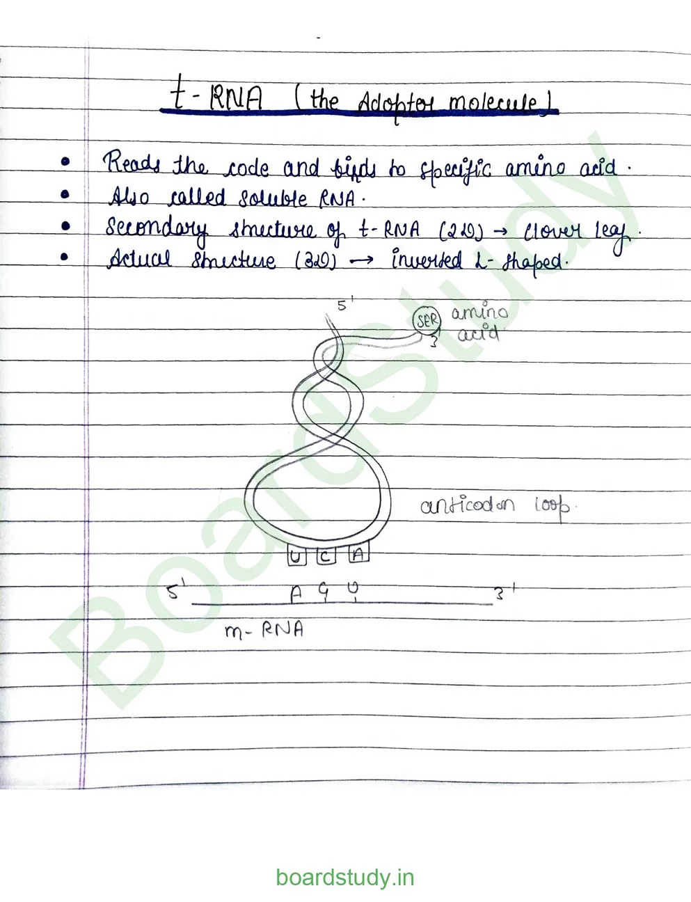 Molecular basis pf inheritance_page-0014