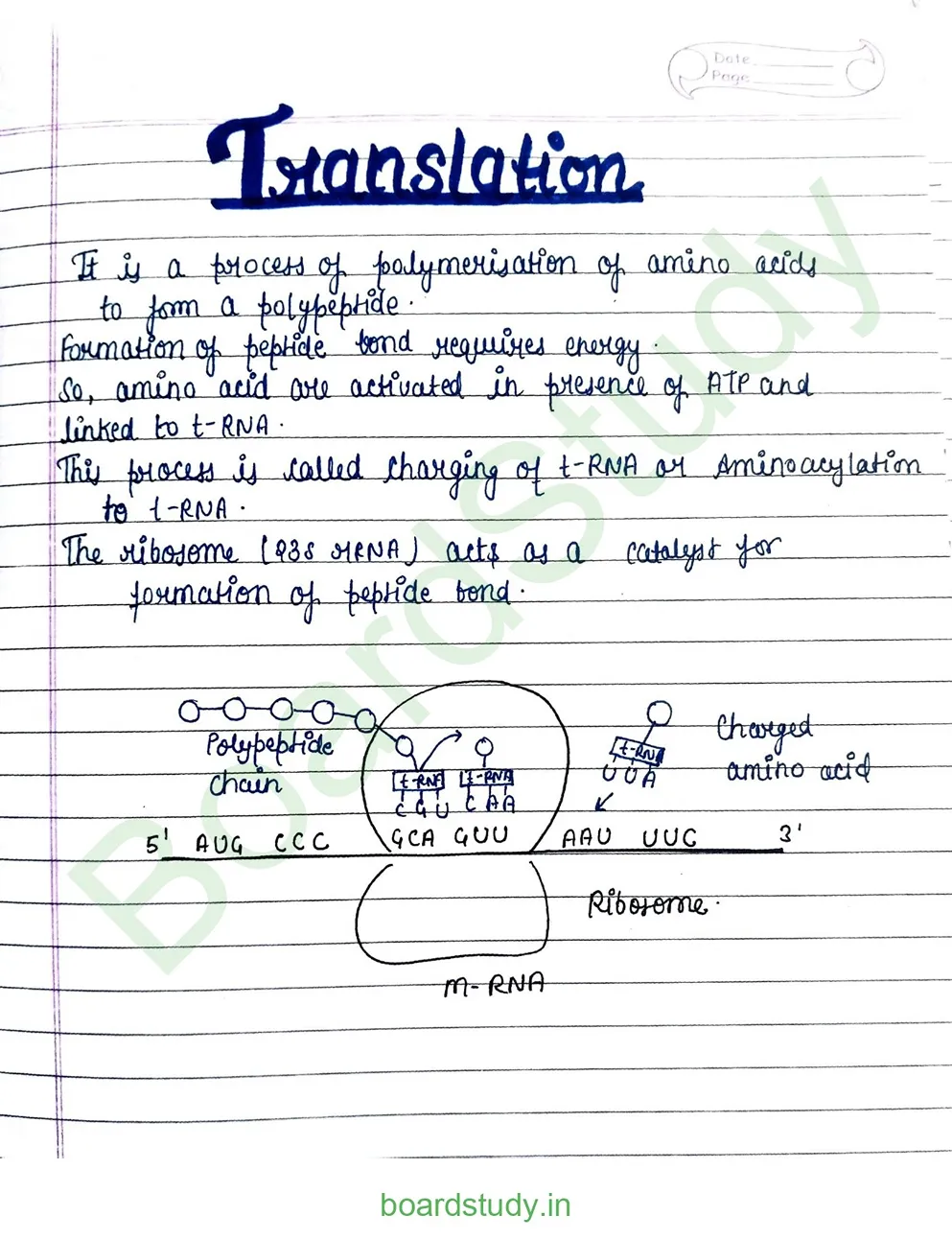 Molecular basis pf inheritance_page-0015