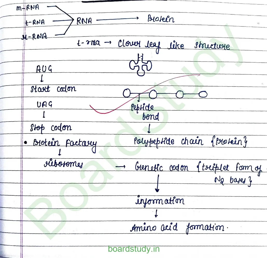 Molecular basis pf inheritance_page-0016