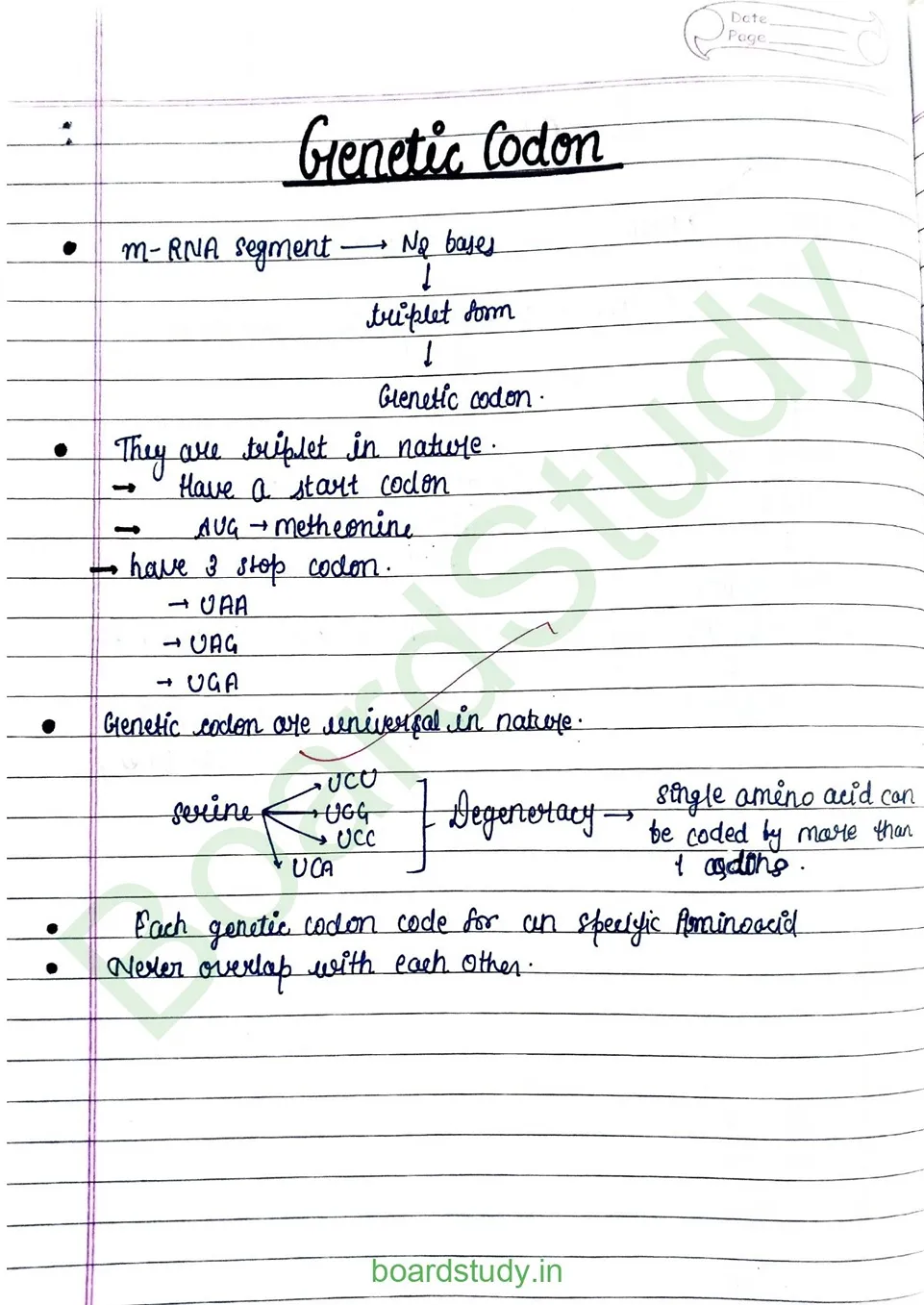 Molecular basis pf inheritance_page-0017