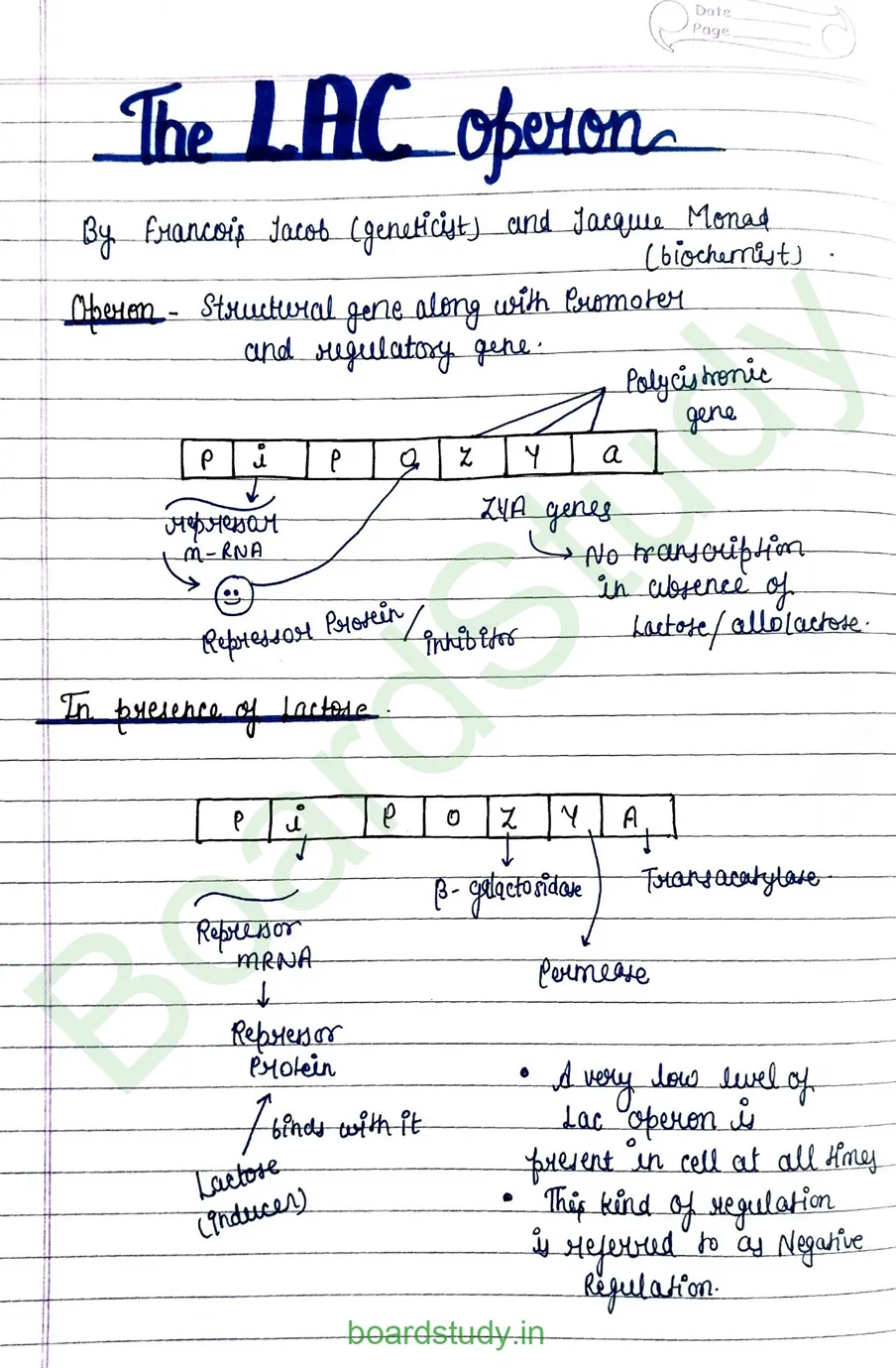 Molecular basis pf inheritance_page-0020