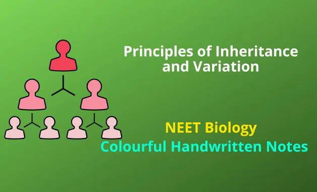 Principles of Inheritance and Variation