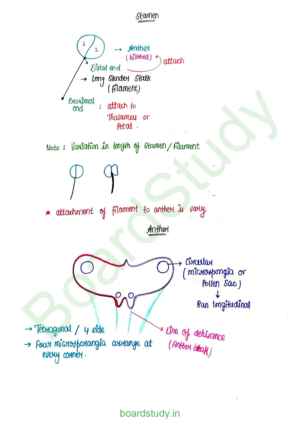 Sexual Reproduction in flowering plants_page-0002