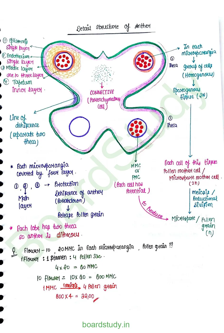 Sexual Reproduction in flowering plants_page-0003