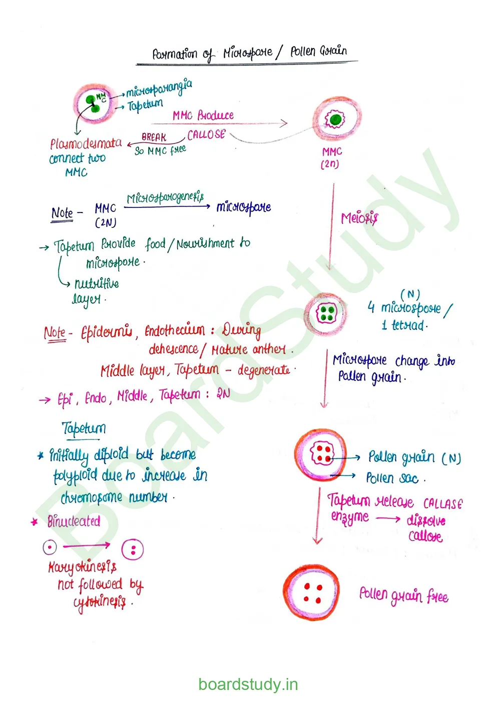 Sexual Reproduction in flowering plants_page-0004