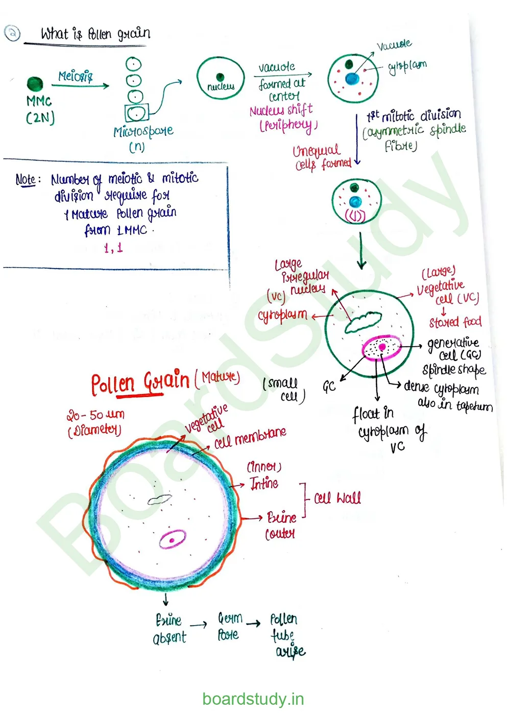Sexual Reproduction in flowering plants_page-0005