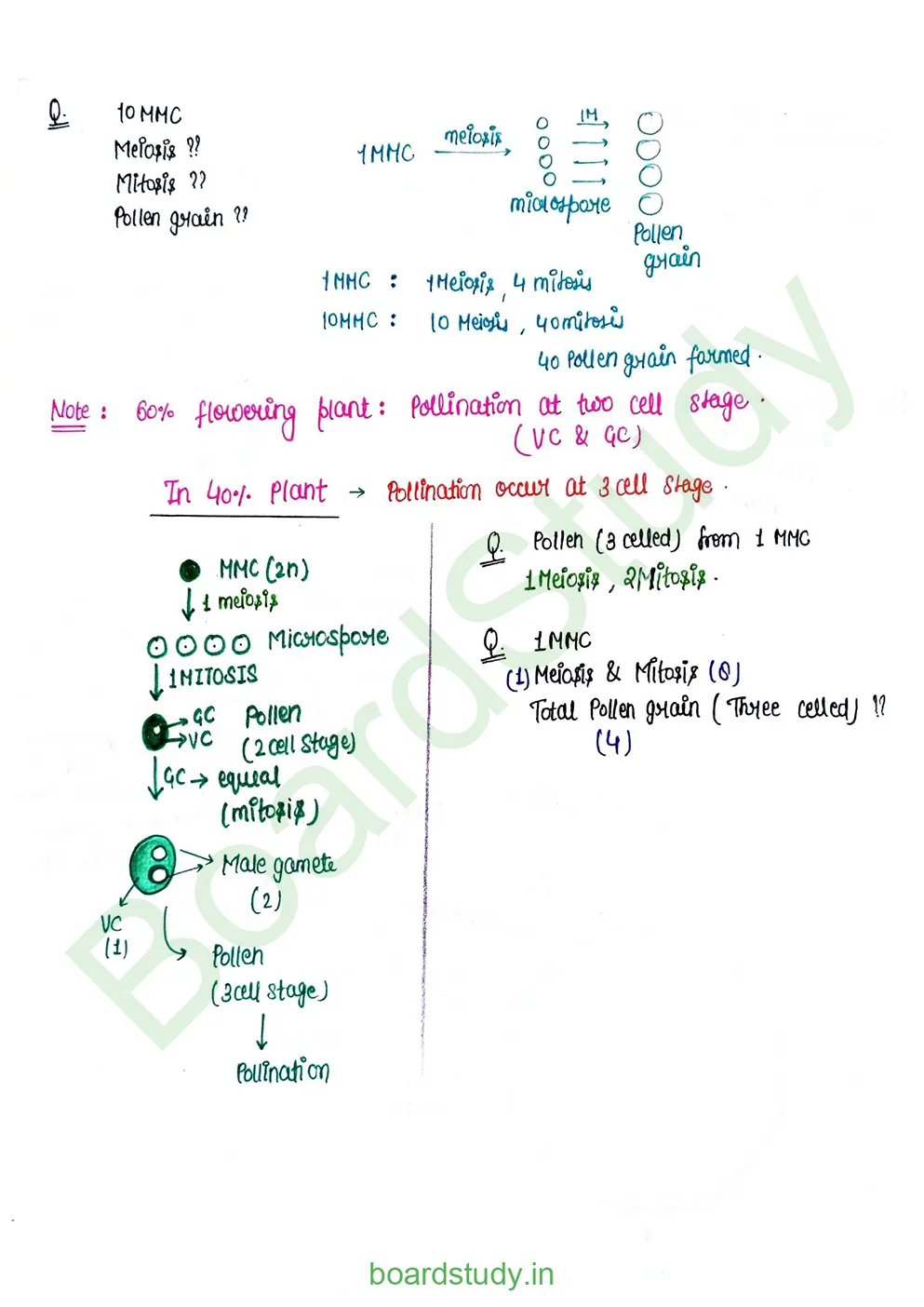 Sexual Reproduction in flowering plants_page-0006