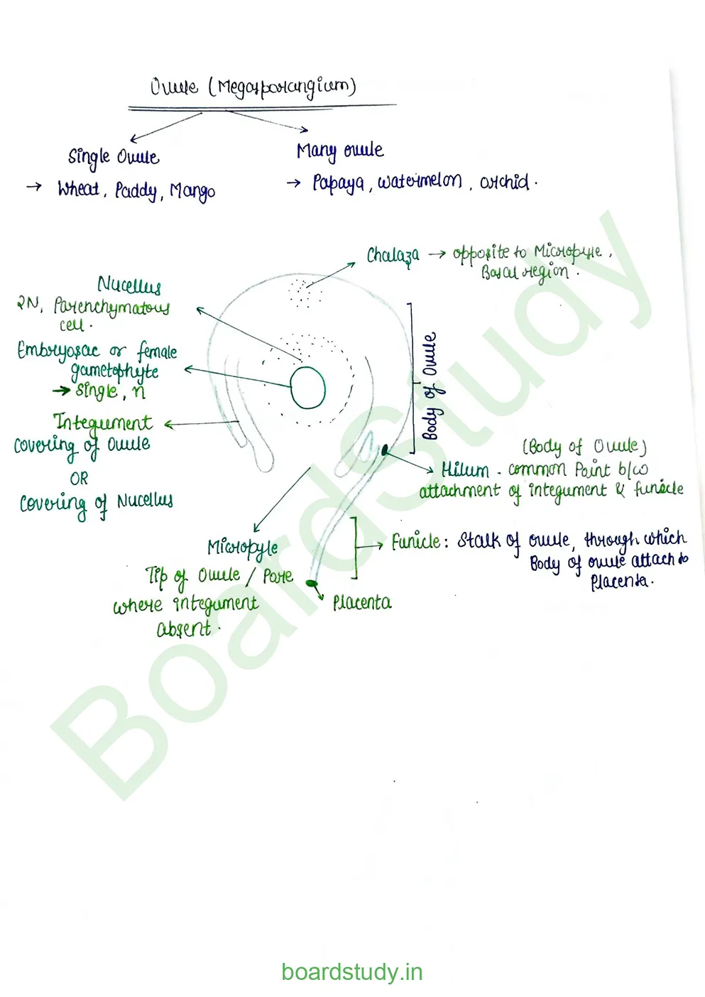 Sexual Reproduction in flowering plants_page-0009