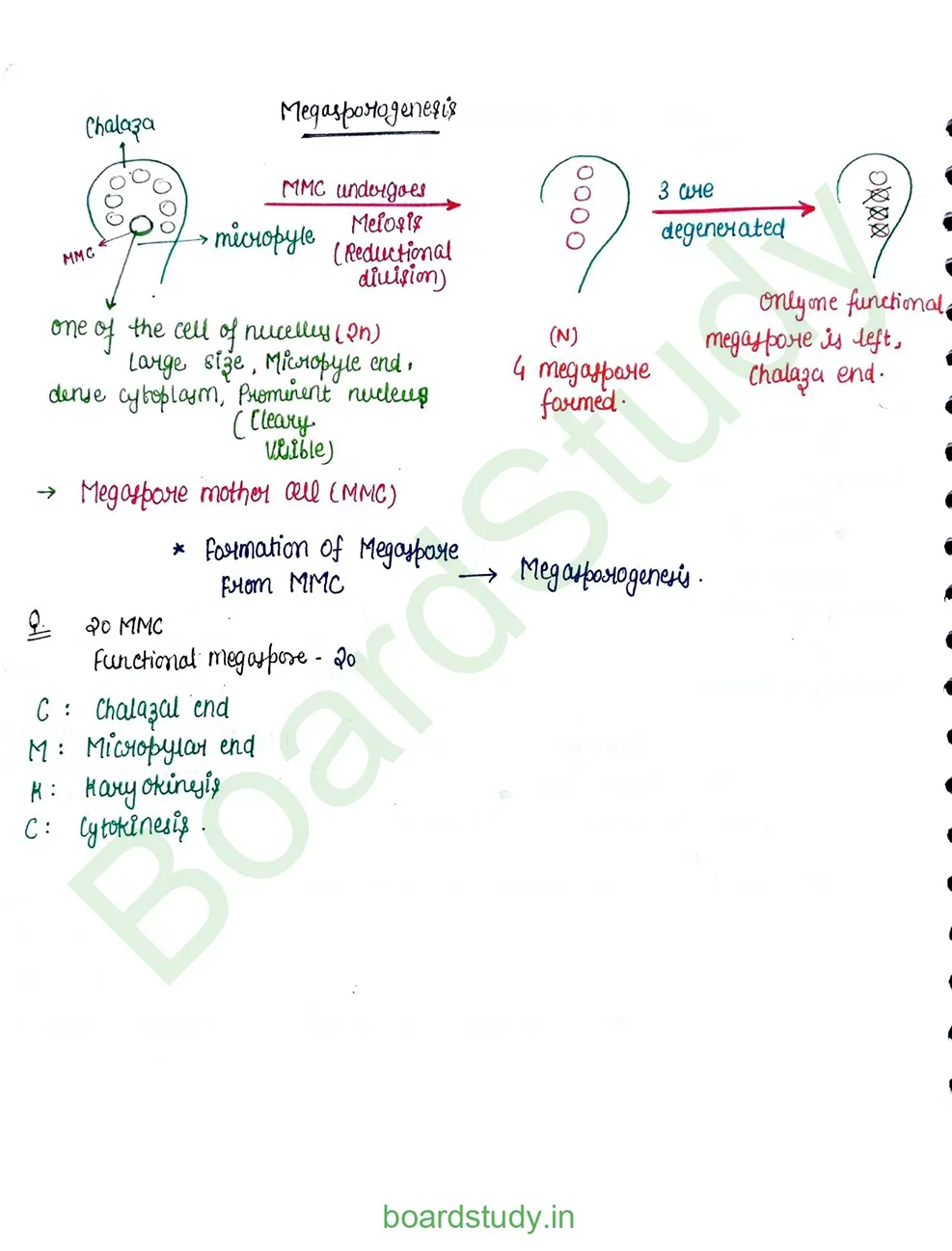 Sexual Reproduction in flowering plants_page-0010