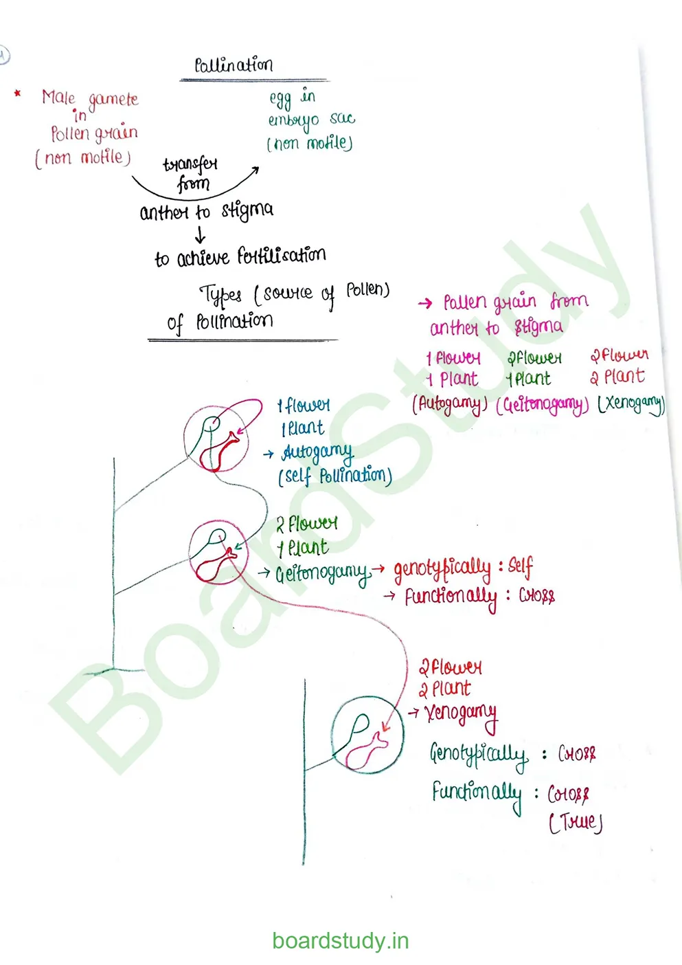 Sexual Reproduction in flowering plants_page-0013
