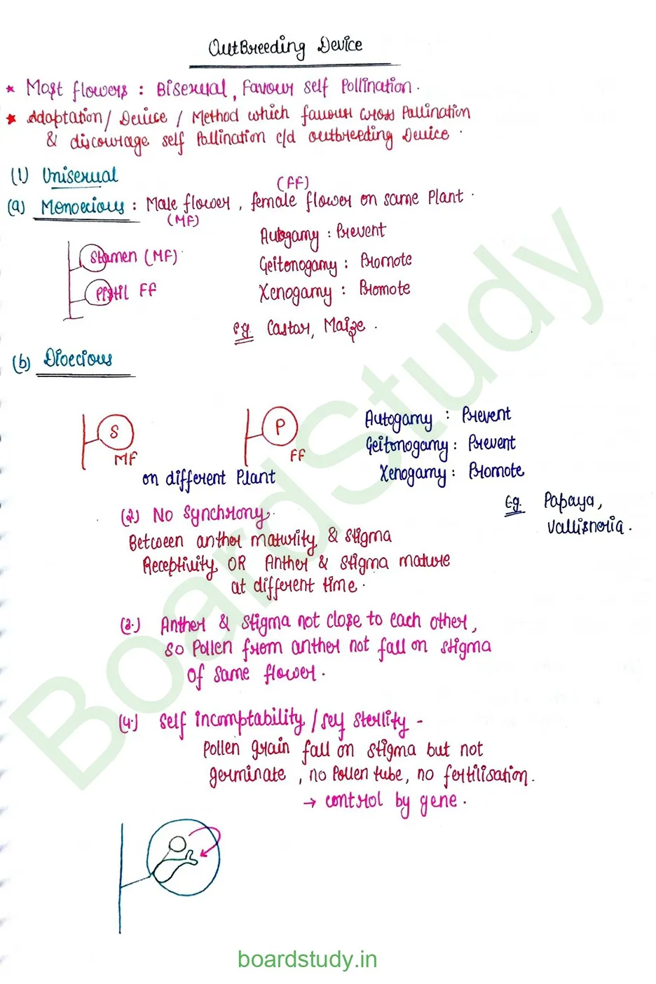 Sexual Reproduction in flowering plants_page-0015