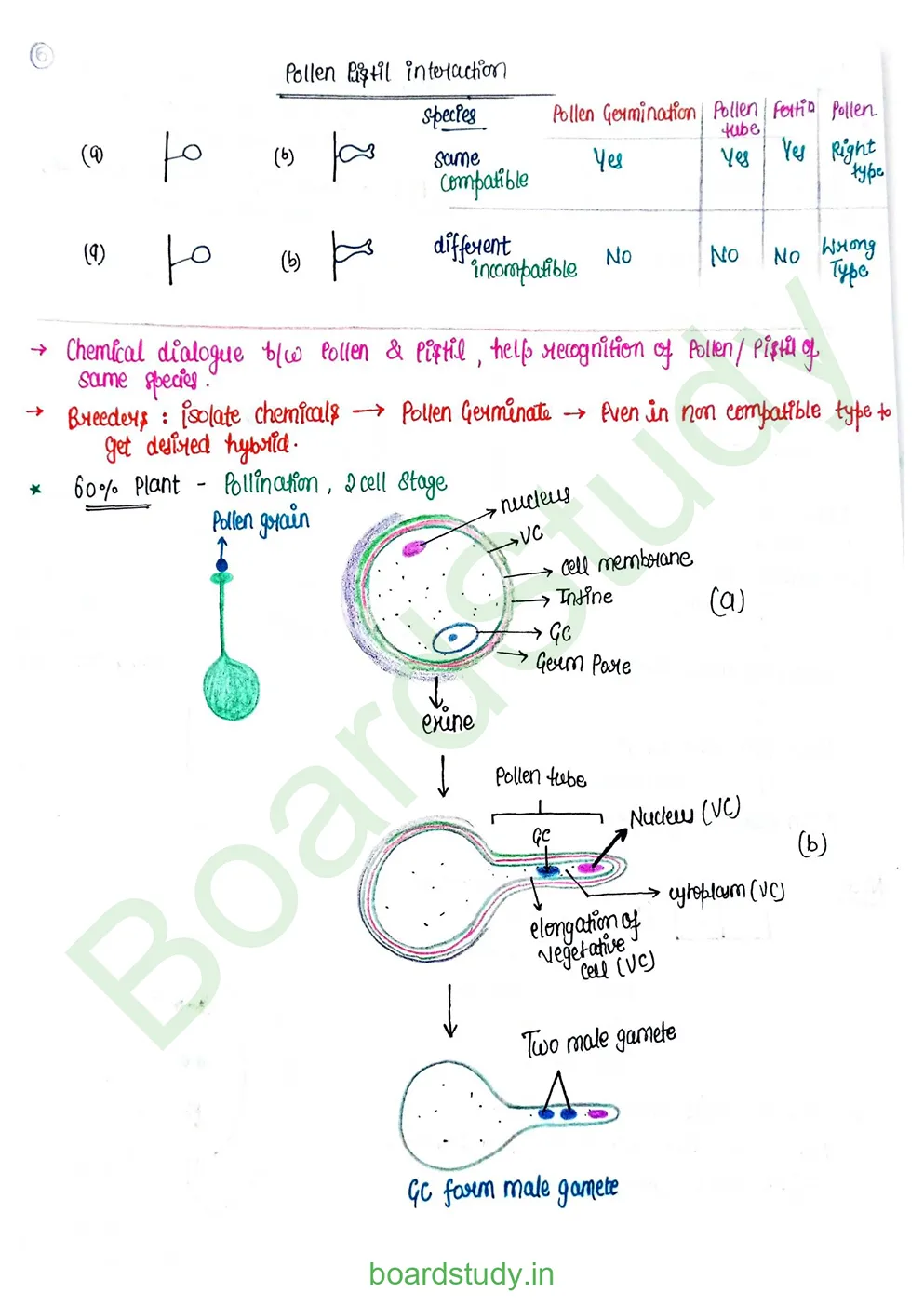 Sexual Reproduction in flowering plants_page-0019
