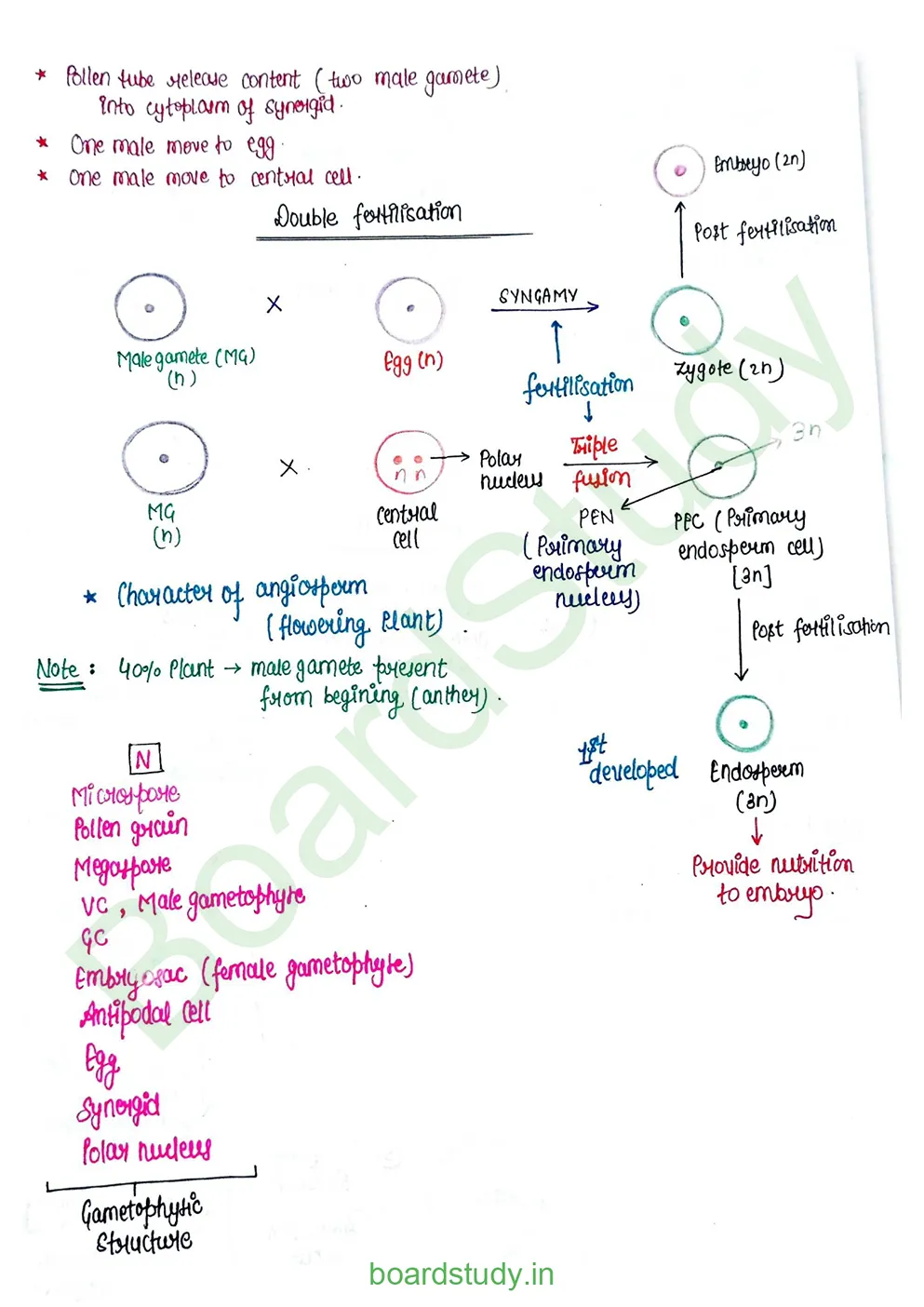 Sexual Reproduction in flowering plants_page-0021