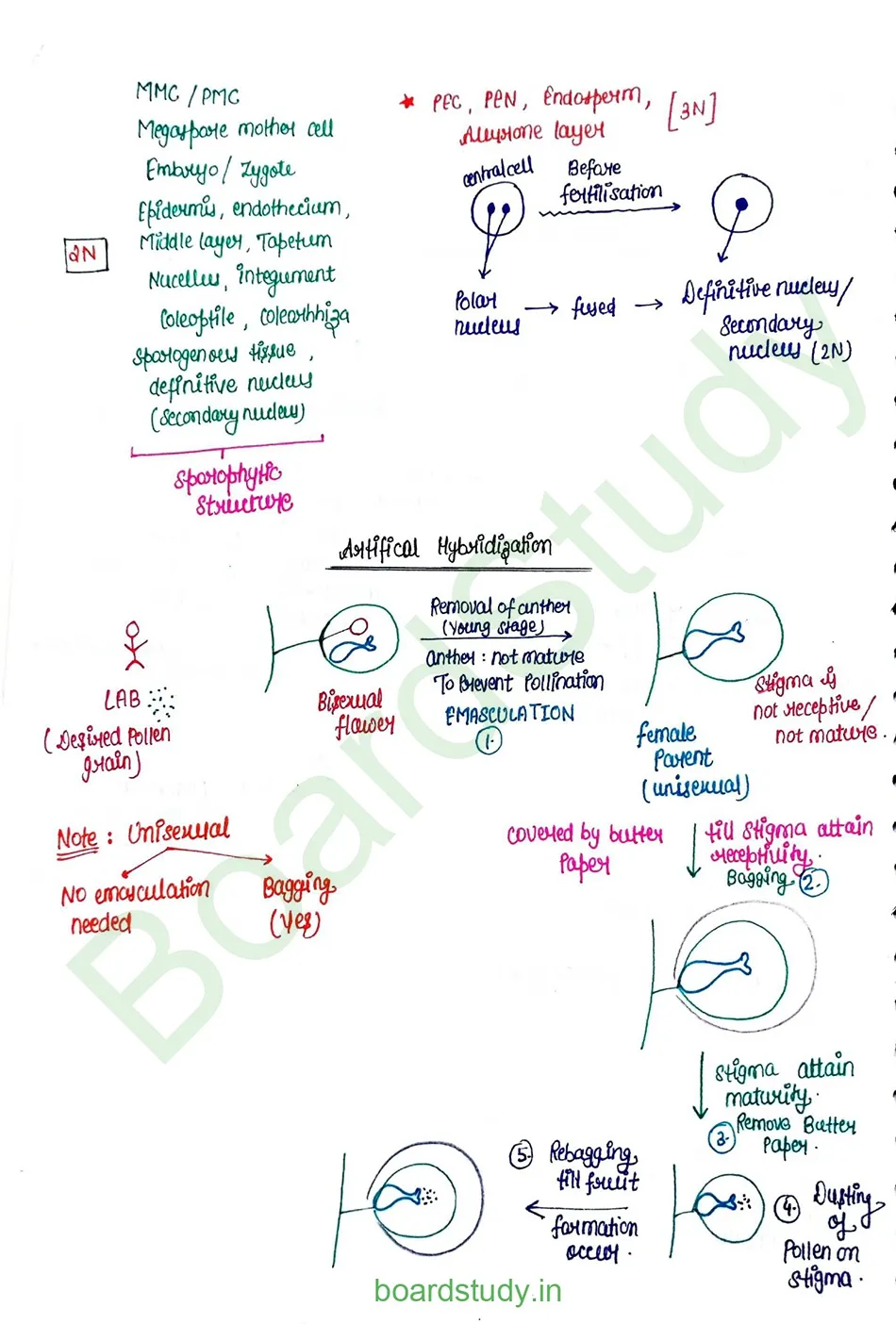 Sexual Reproduction in flowering plants_page-0022