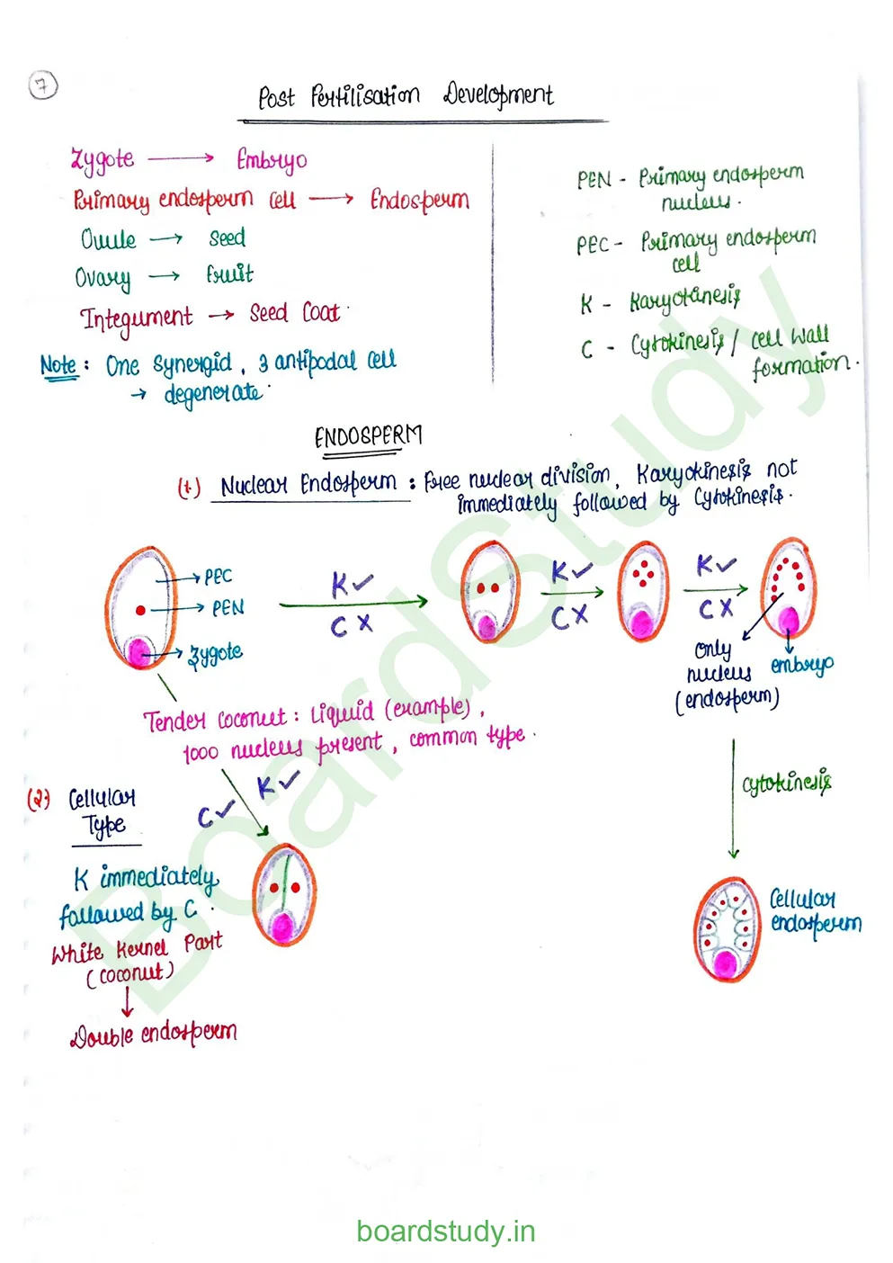 Sexual Reproduction in flowering plants_page-0023