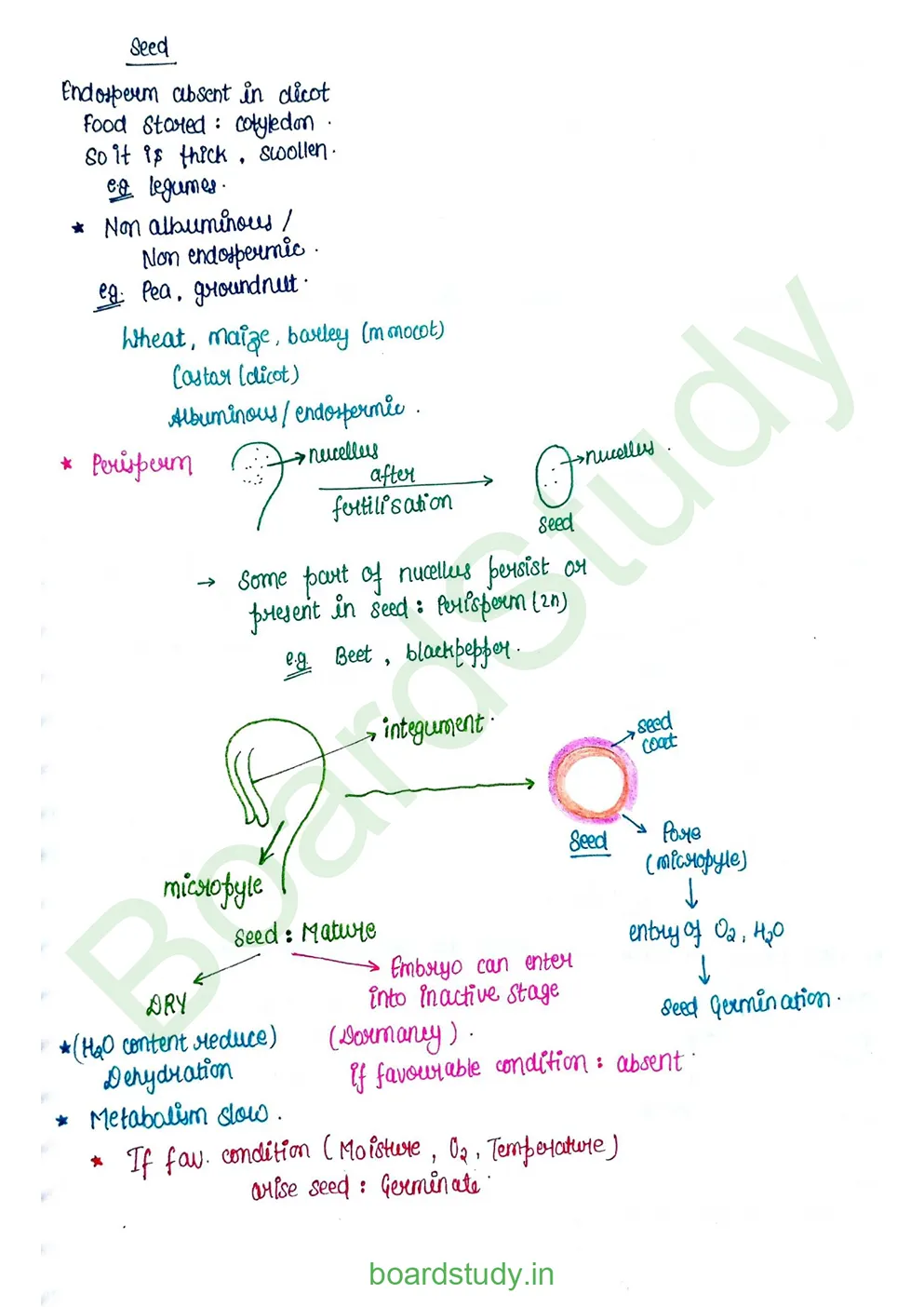 Sexual Reproduction in flowering plants_page-0025