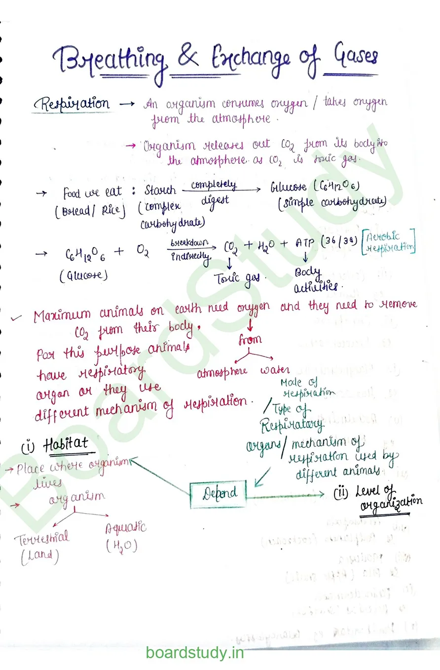 breathing & exchange of gases_page-0001