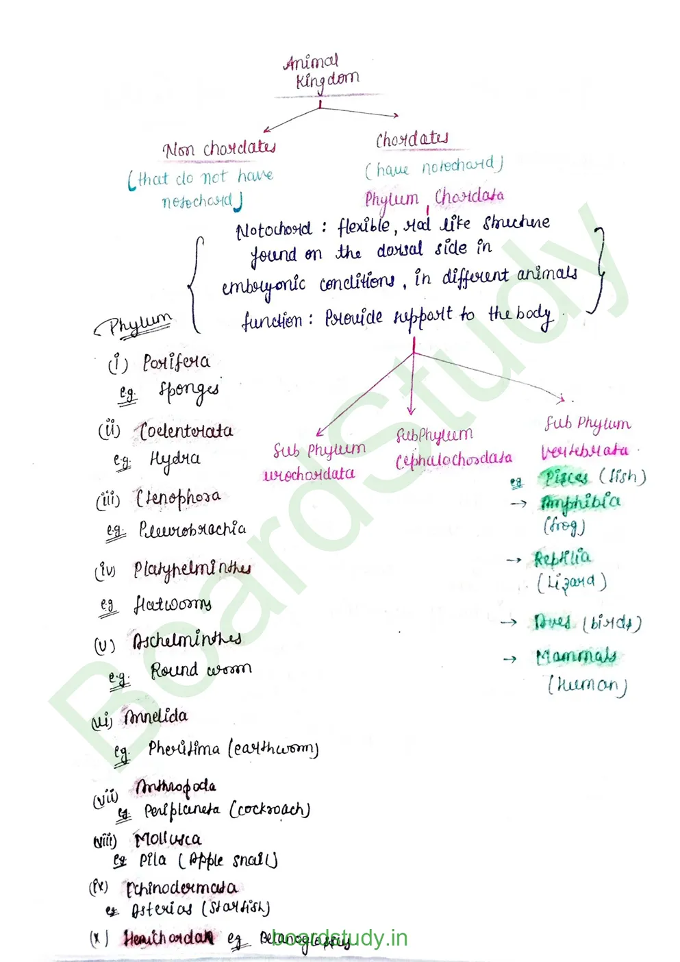 breathing & exchange of gases_page-0002