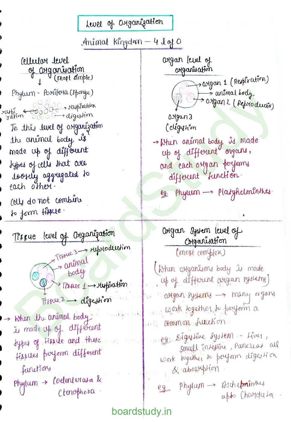 breathing & exchange of gases_page-0003