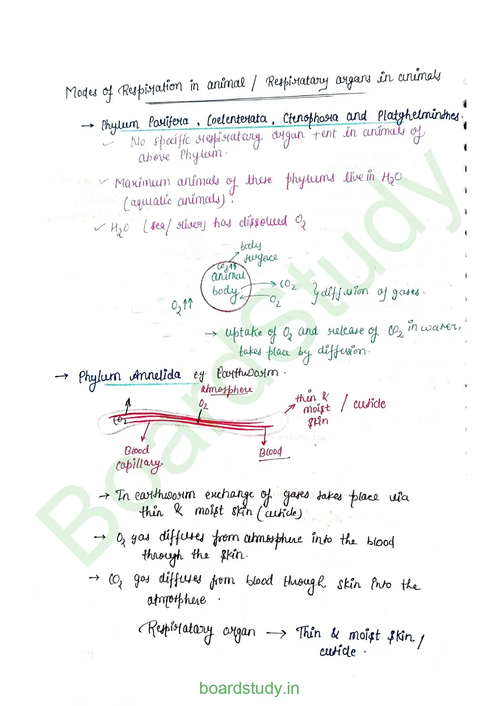 breathing & exchange of gases_page-0004