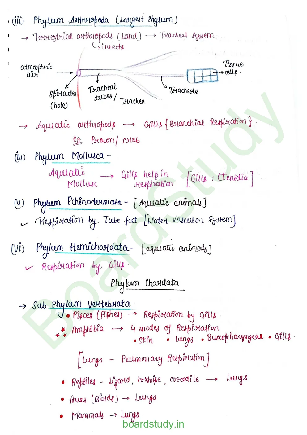 breathing & exchange of gases_page-0005