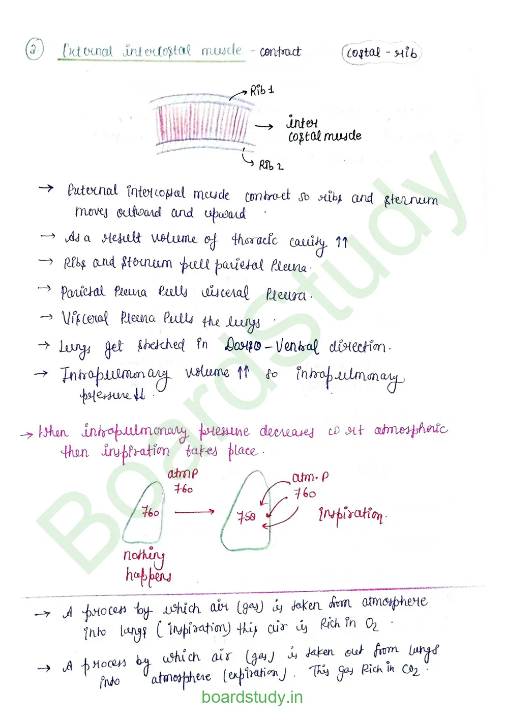breathing & exchange of gases_page-0017