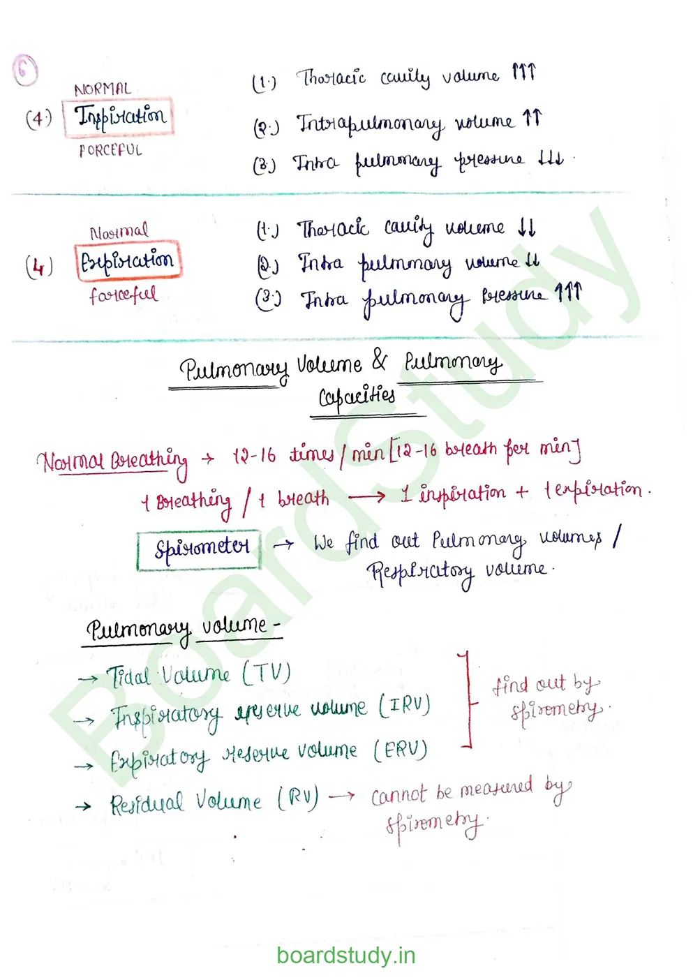 breathing & exchange of gases_page-0023