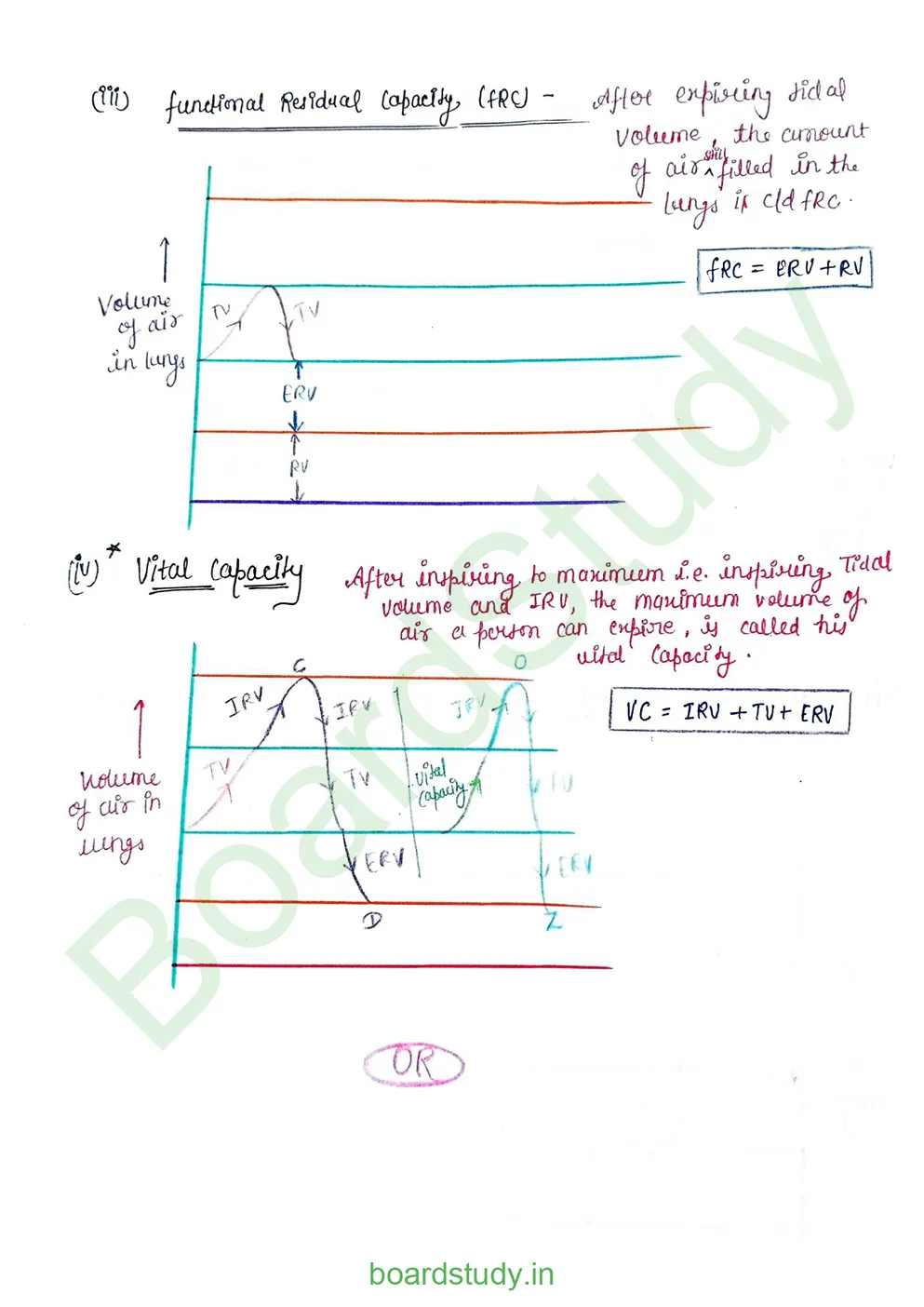 breathing & exchange of gases_page-0028
