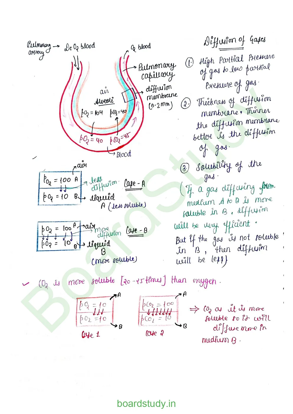 breathing & exchange of gases_page-0034