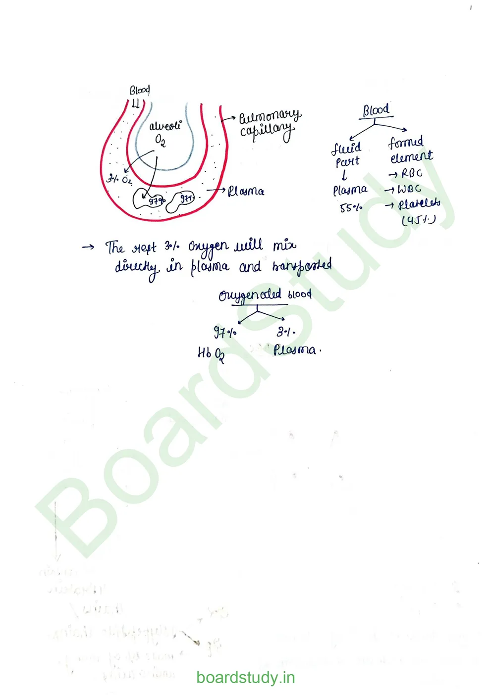 breathing & exchange of gases_page-0036