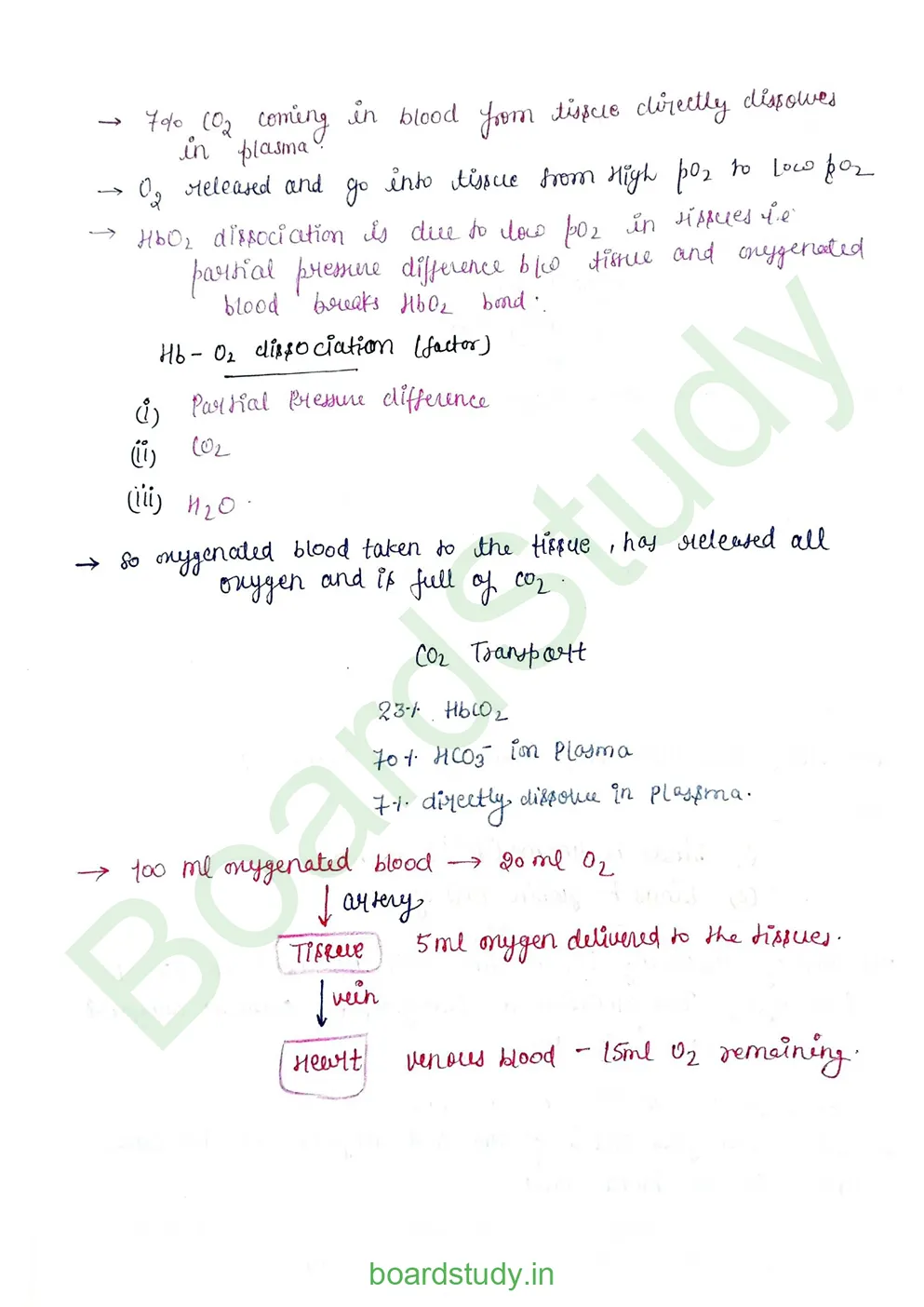 breathing & exchange of gases_page-0042