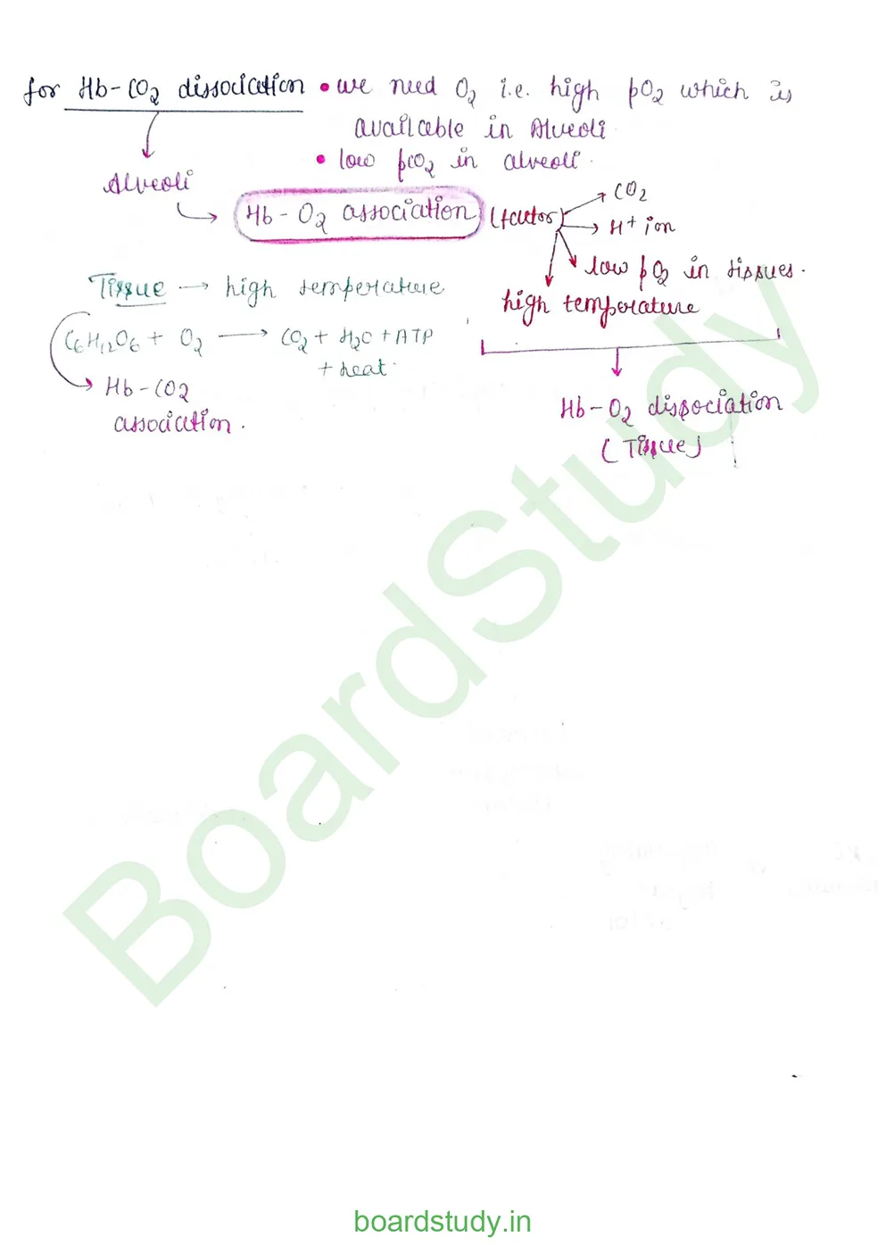 breathing & exchange of gases_page-0045