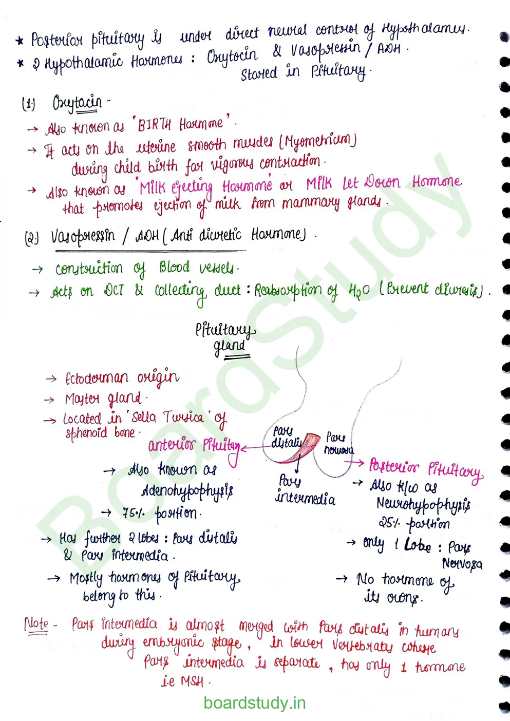 chemical control & coordination_page-0004