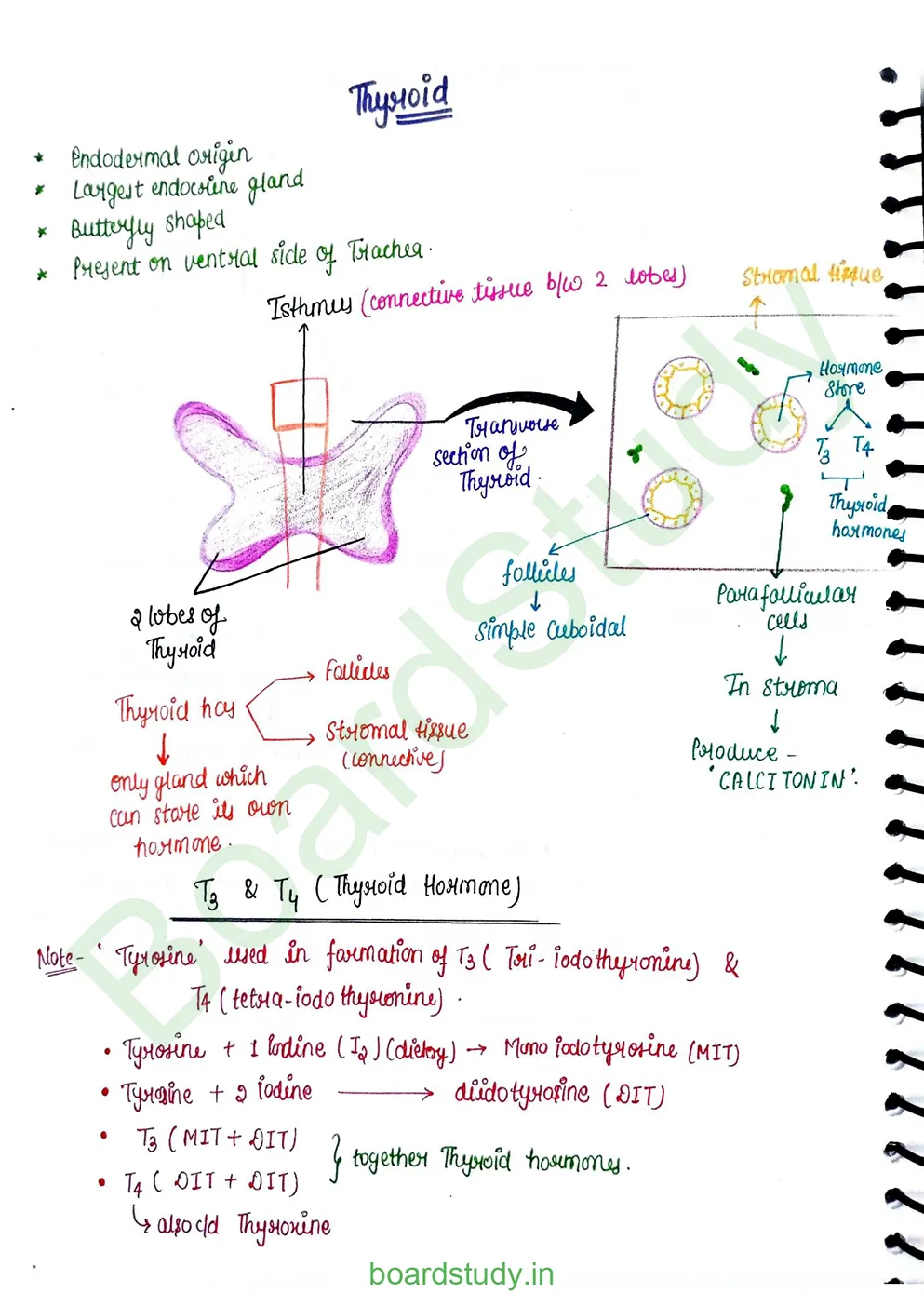 chemical control & coordination_page-0008