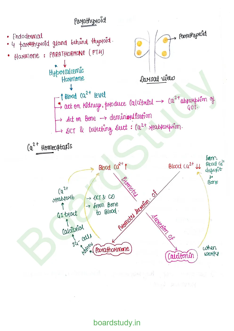 chemical control & coordination_page-0013